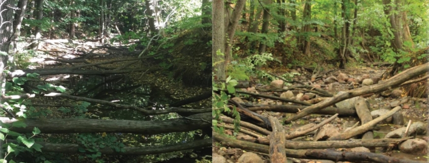 Before and after river restoration of Bränningenån